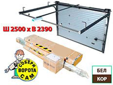 Doorhan RSD-01S 2500х2390 мм (бел, кор)